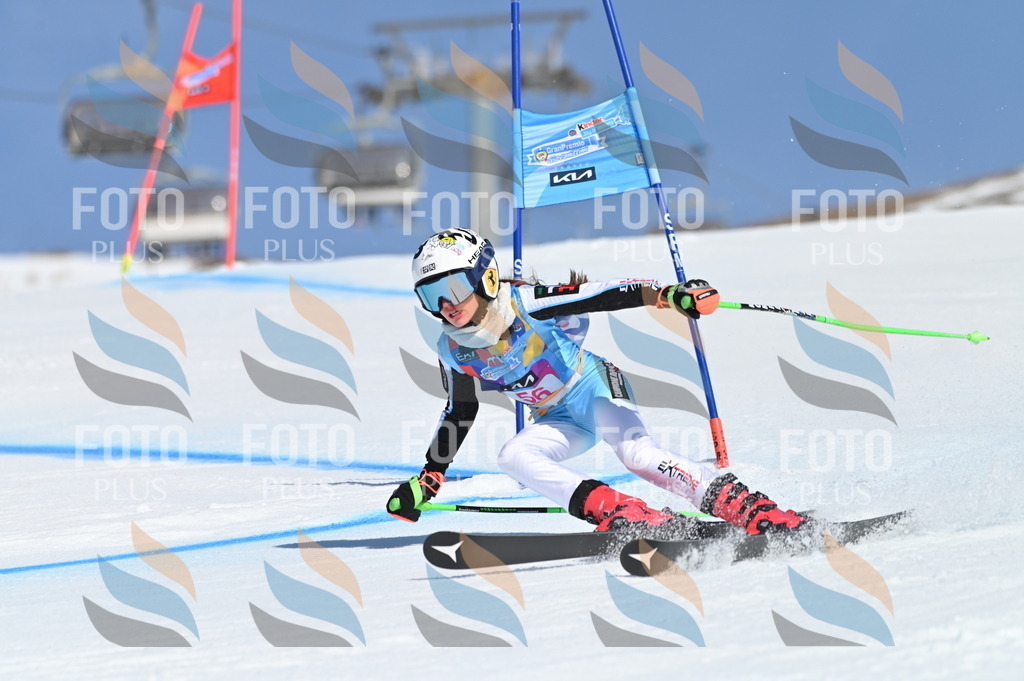 BGV_8650 | holidayphoto