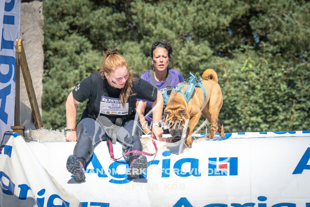 1457_ZZ96589 | kk-dogfotos