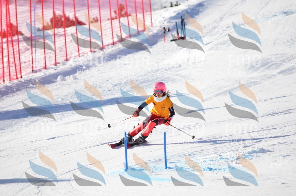 C5931 | holidayphoto