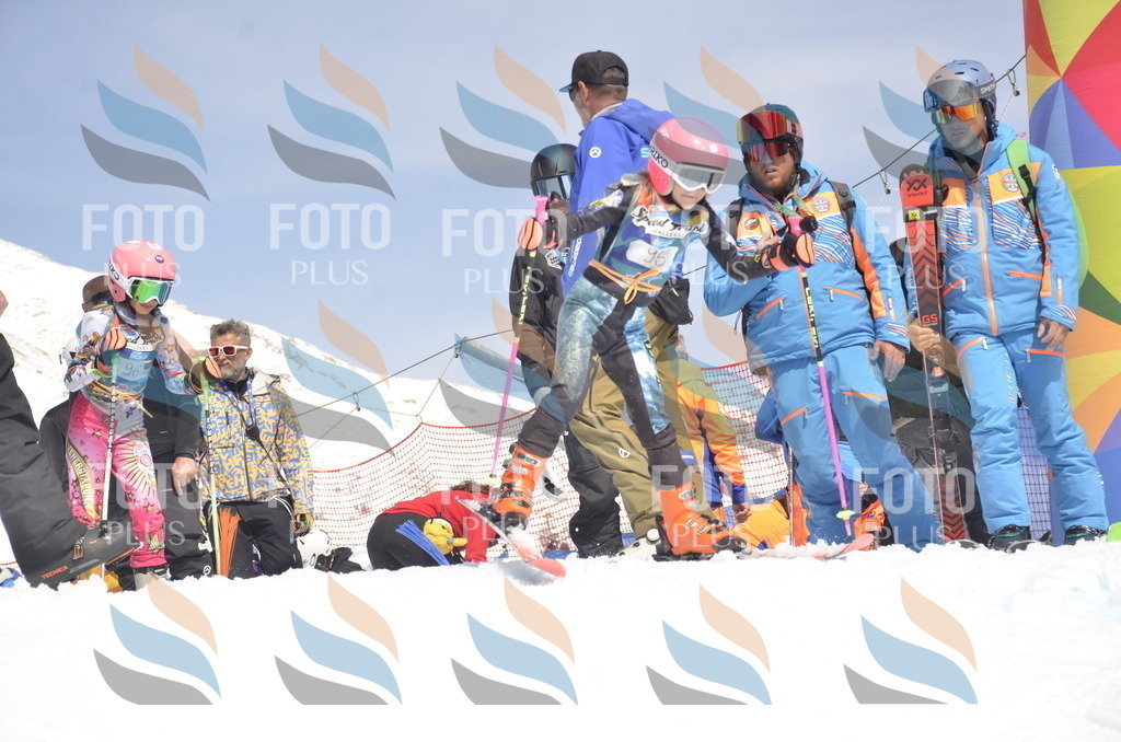 _ELE9317 | holidayphoto