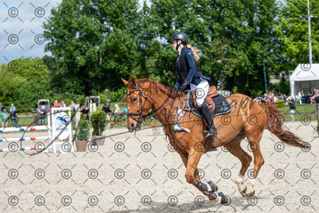 KPT_5833 | andre_photographic