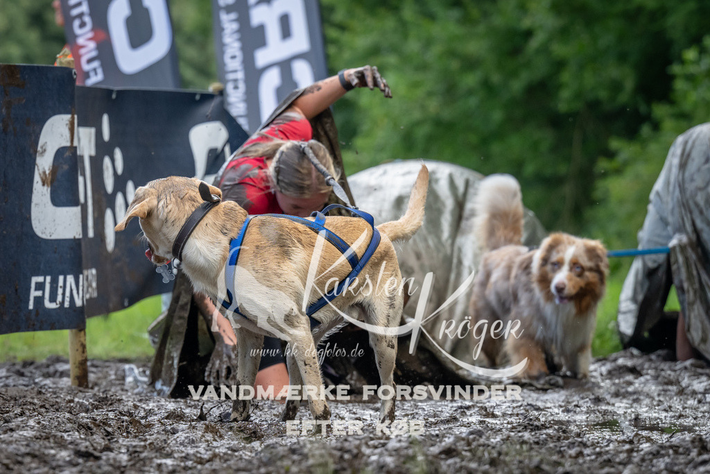 1144_ZZ94079 | kk-dogfotos