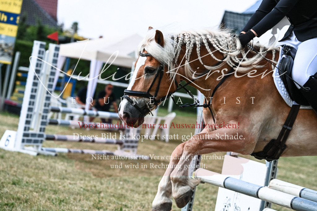 DSC_8748 | Pferde- und Turnierfotografie in Westsachsen. Pferdeportraits, Auftragszeichnungen und intuitive Kunst.