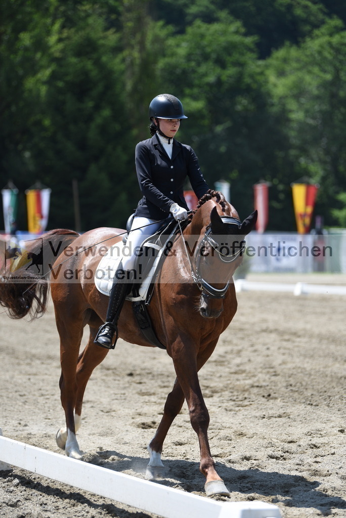 DSC_0988 | equestrian-live-com