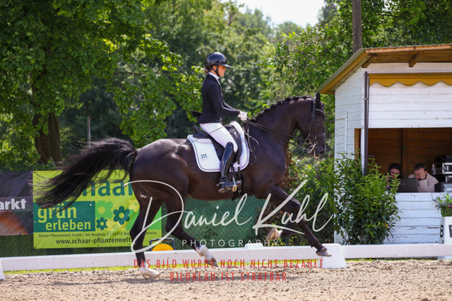 DKP41135 | Turnierfotos kaufen im Webshop von Daniel Kuhl Photography – entdecke professionelle Reitsportfotos aus Turnieren & Events. Hochwertige Turnierbilder online bestellen & sichern. Jetzt Fotos von Reitsportturnieren kaufen!
