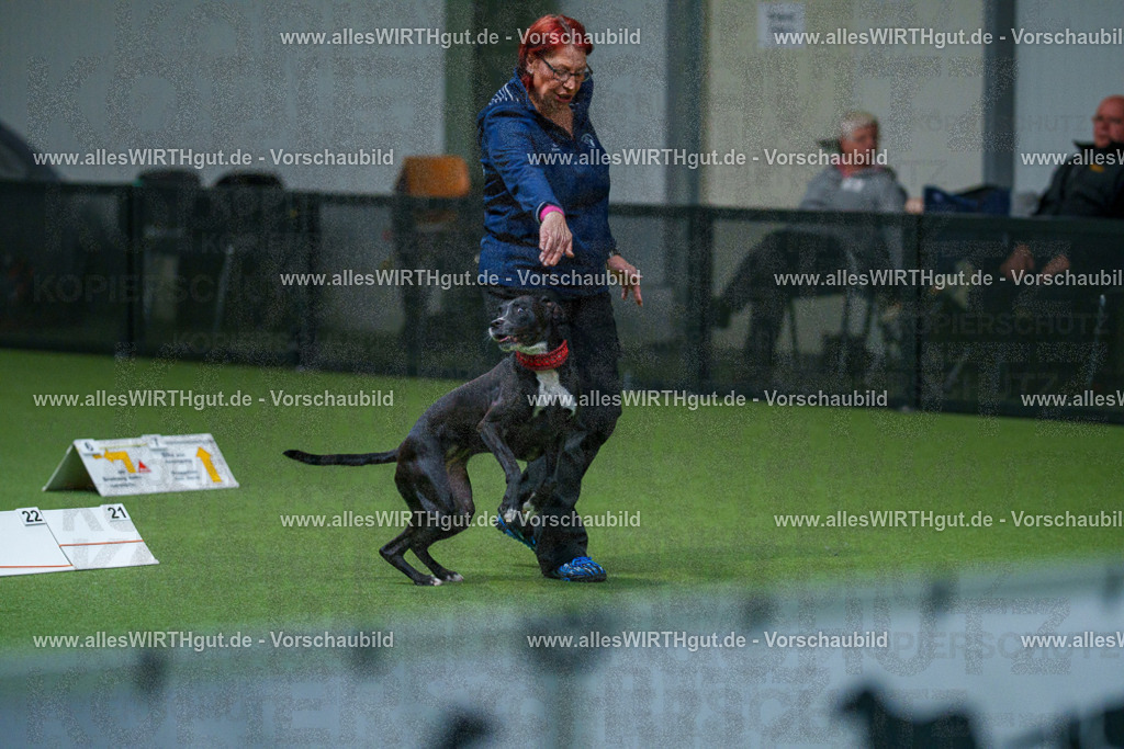 7R503272 | Professionelle Tierfotografie in Mönchengladbach von Daniel Wirth (allesWIRTHgut). Liebevolle & natürliche Bilder von Hunden & Katzen für unvergessliche Erinnerungen.