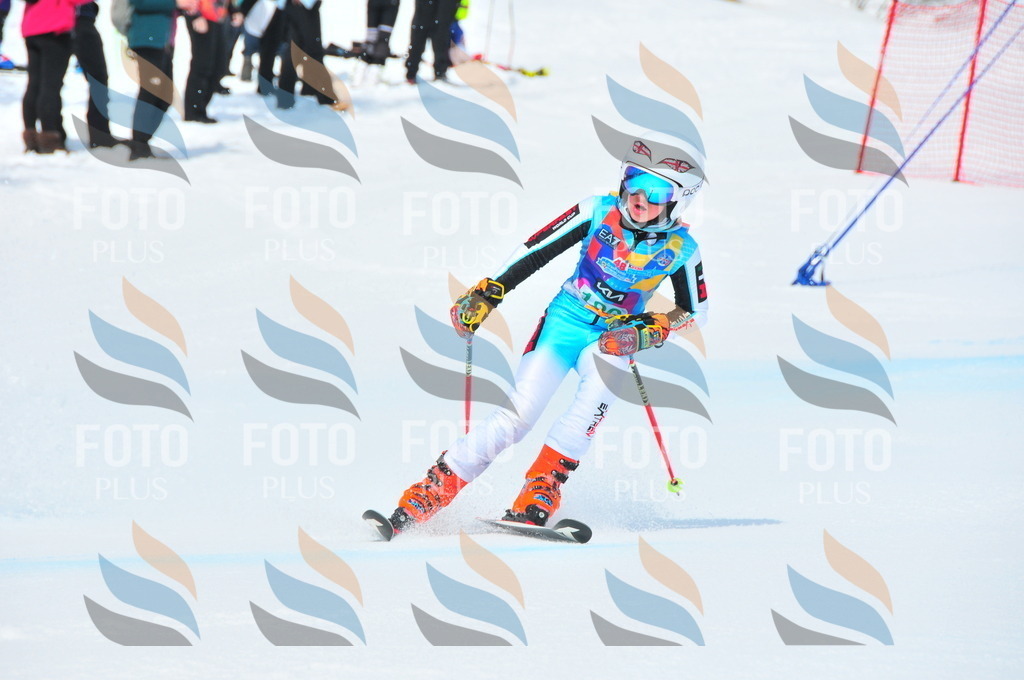 DSC_1703 | holidayphoto