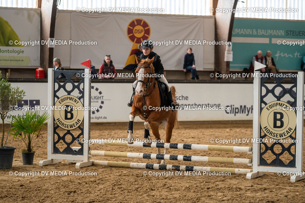 Kranichstein Tag 2-708 | dv-media-shop - Realisiert mit Pictrs.com