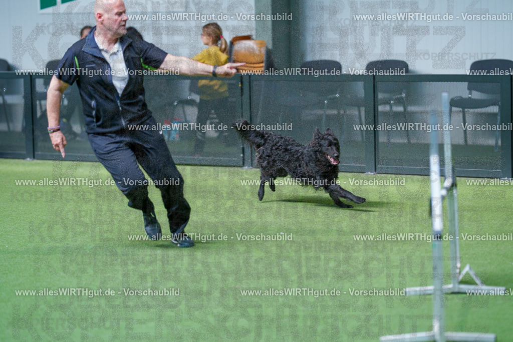 @allesWIRTHgut_Tierfotografie - www.allesWIRTHgut.de - 2604261526-7R505571 | Professionelle Tierfotografie in Mönchengladbach von Daniel Wirth (allesWIRTHgut). Liebevolle & natürliche Bilder von Hunden & Katzen für unvergessliche Erinnerungen.