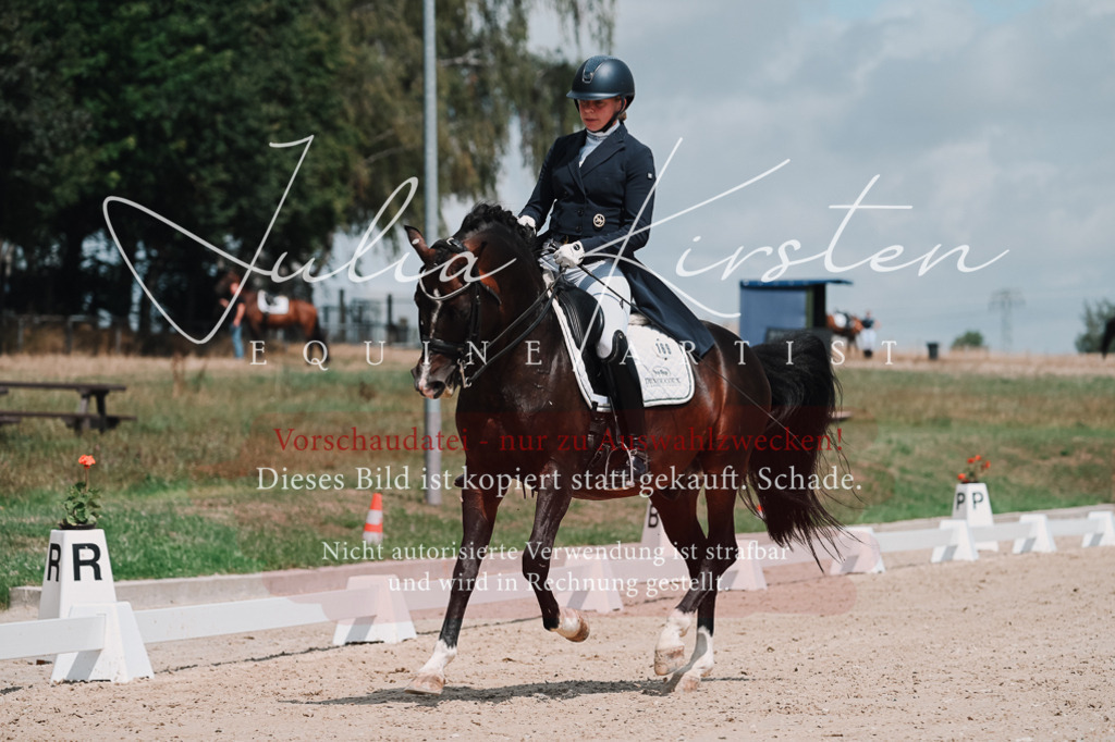 DSC_3954 | Pferde- und Turnierfotografie in Westsachsen. Pferdeportraits, Auftragszeichnungen und intuitive Kunst.