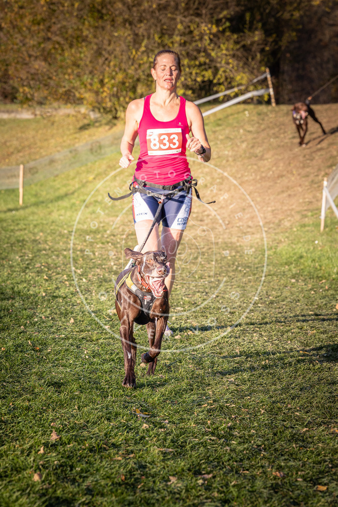 CaniXpix_0L8A0655 | Hundefotografie, Tierfotograf, Pfotenfotografie, Fotoshooting Hund, Hunde Portrait, Hundesport, Hundeportraits, Heideshooting, Hunde, Sportfotograf, Hundefotograf, Turnierhundsport, THS,  - Realisiert mit Pictrs.com