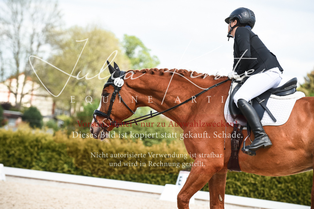 20230518_JK-Röhrsdorf-12-0116 | Pferde- und Turnierfotografie in Westsachsen. Pferdeportraits, Auftragszeichnungen und intuitive Kunst.