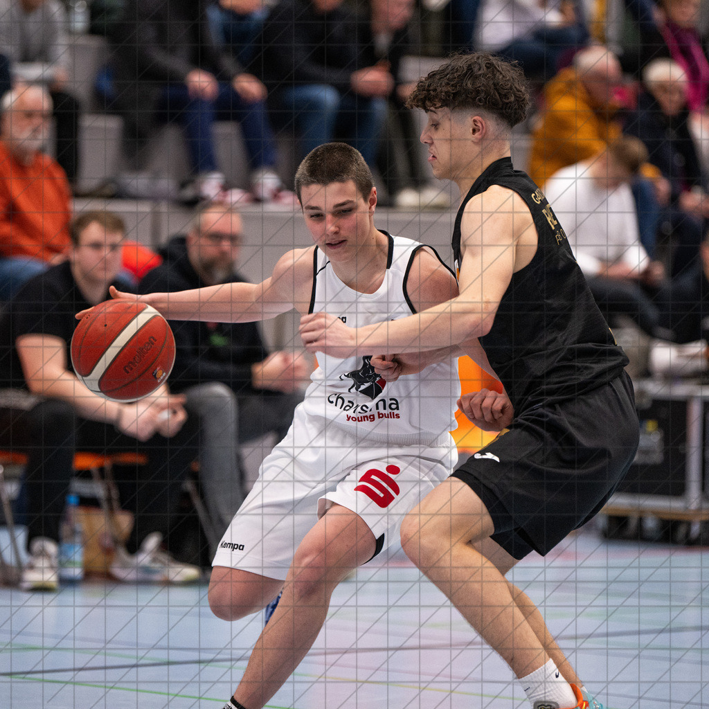 JBBL 24/25 | 26.01.2025 | Charisma Young Bulls vs. Gartenzaun24 Baskets Paderborn | JBBL 24/25 | 26.01.2025 | Charisma Young Bulls vs. Gartenzaun24 Baskets Paderborn - - - - - CREDIT, www.bullenfotos.de, Martin König, Hörner Weg 40, D-49078 Osnabrück, +4917663732967, Nutzung und Weitergabe nur zu den vereinbarten Zwecken. Presseanfragen an Urheber. Alle Rechte beim Urheber. - - - - - - Realisiert mit Pictrs.com