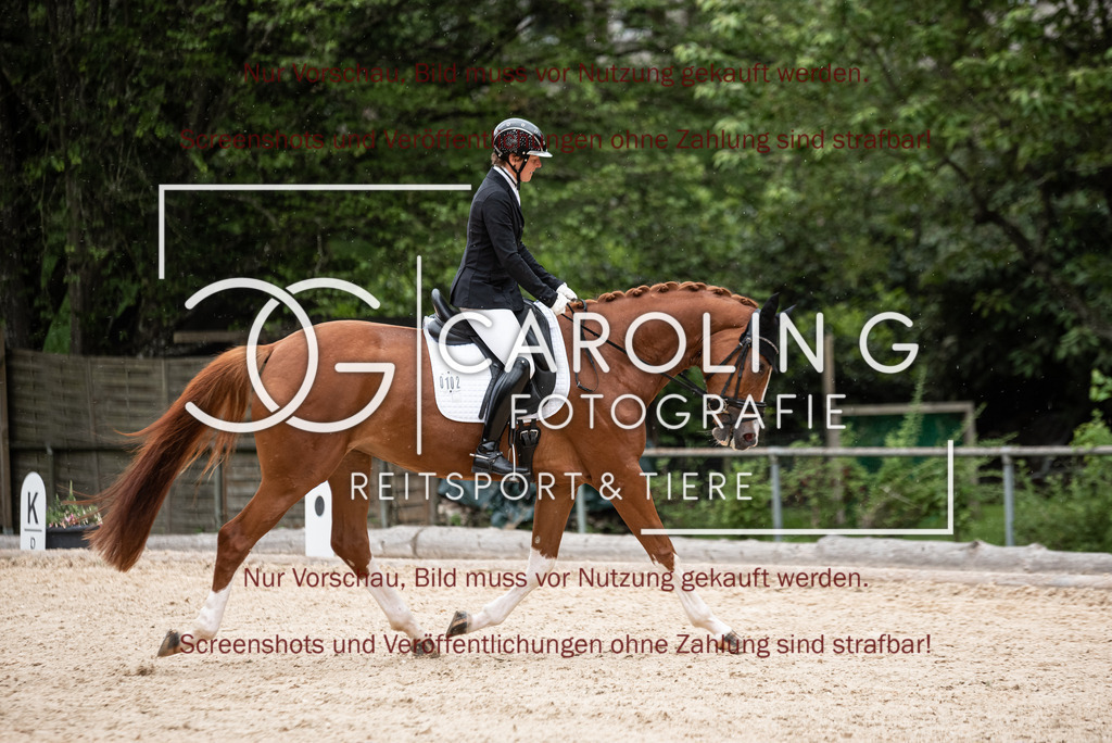 DSC_3093 | Turnierfotografin Carolin Gieschke,Reitsport Turnierfotografie Carolin G Fotografie | Turnierfotos aus Kirchheim/Teck, Esslingen, Stuttgart und dem Bodenseekreis