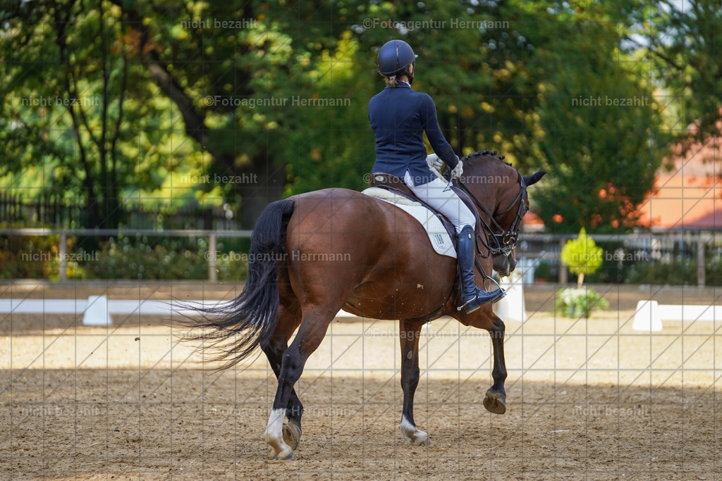 20221007-FAH09998 | Diessen am Ammersee, 2022, Dressur- und Springturnier, Reitsportbilder, Turnierfotografen Bayern, Pferdefotografen, Fotoagentur Herrmann, Turnierbilder