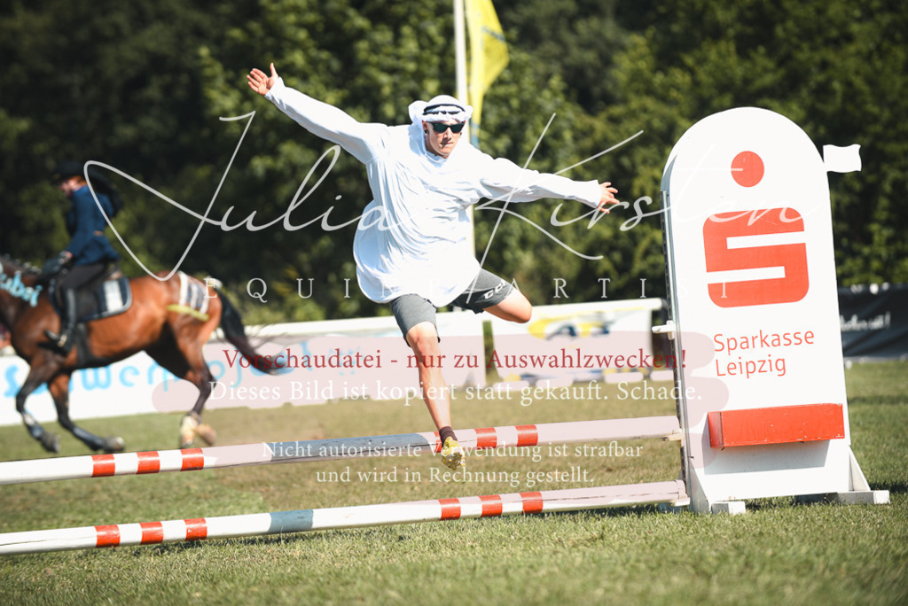 DSC_7594 | Pferde- und Turnierfotografie in Westsachsen. Pferdeportraits, Auftragszeichnungen und intuitive Kunst.