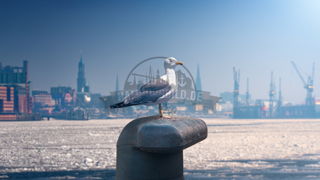 Hamburg-by-stativkunst.de-047 | Exklusive Hamburg collagen, tolle Segelbilder und viele weitere tolle Motive auf Leinwand, Poster, Alu-Dibond, u.v.m. findet Ihr bei uns auf hamburgbild.de. Findet Euer Wandbild für Euer Zuhause, Büro oder die  Praxis…. - Realisiert mit Pictrs.com