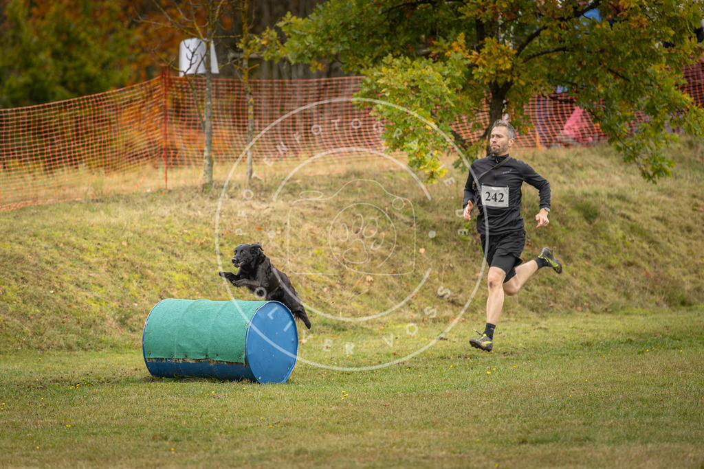 Pfotenfotografie_DV3A5912 | Hundefotografie, Tierfotograf, Pfotenfotografie, Fotoshooting Hund, Hunde Portrait, Hundesport, Hundeportraits, Heideshooting, Hunde, Sportfotograf, Hundefotograf, Turnierhundsport, THS,  - Realisiert mit Pictrs.com