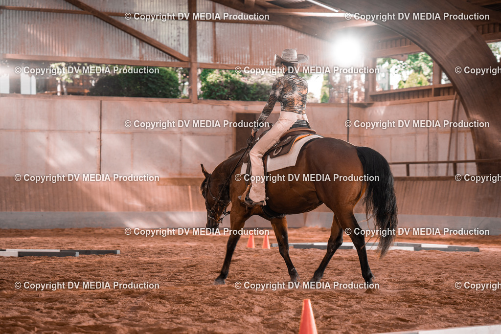 NE200207 | dv-media-shop - Realisiert mit Pictrs.com