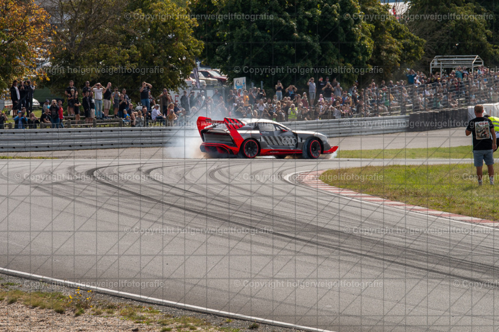 20250907114147D75_6789 | Bitte beachten!!!
Alle Fotos dieser Galerie sind nur grundbearbeitet. Im Falle eines Verkaufs, werde ich die Fotots noch mit dem nötigen Feinschliff versehen. - Realisiert mit Pictrs.com