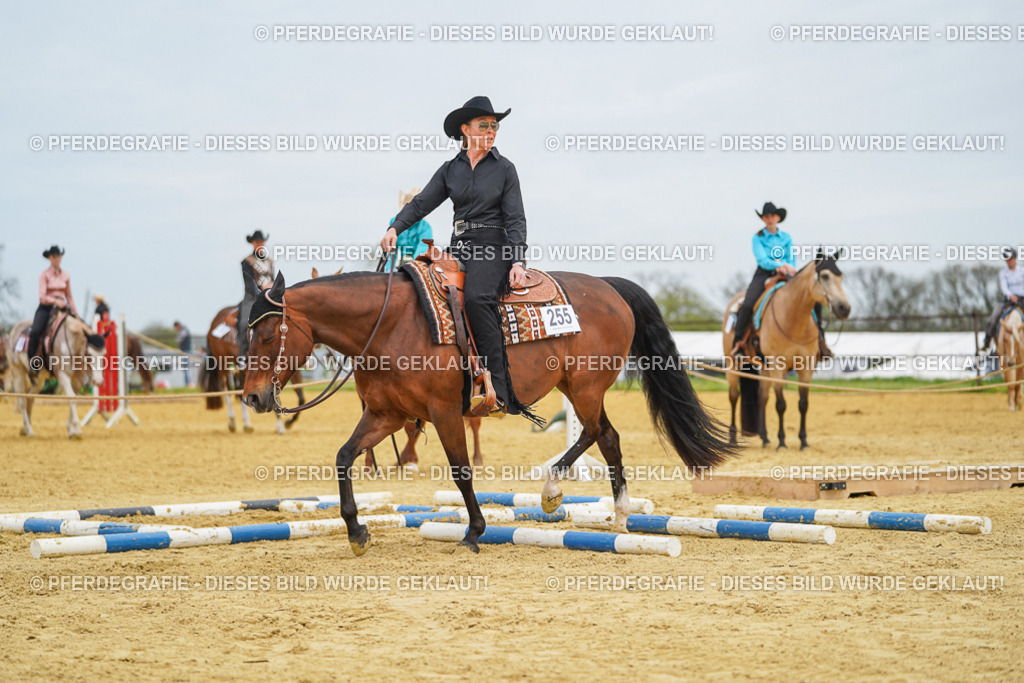 DSC03026 | Pferdegrafie