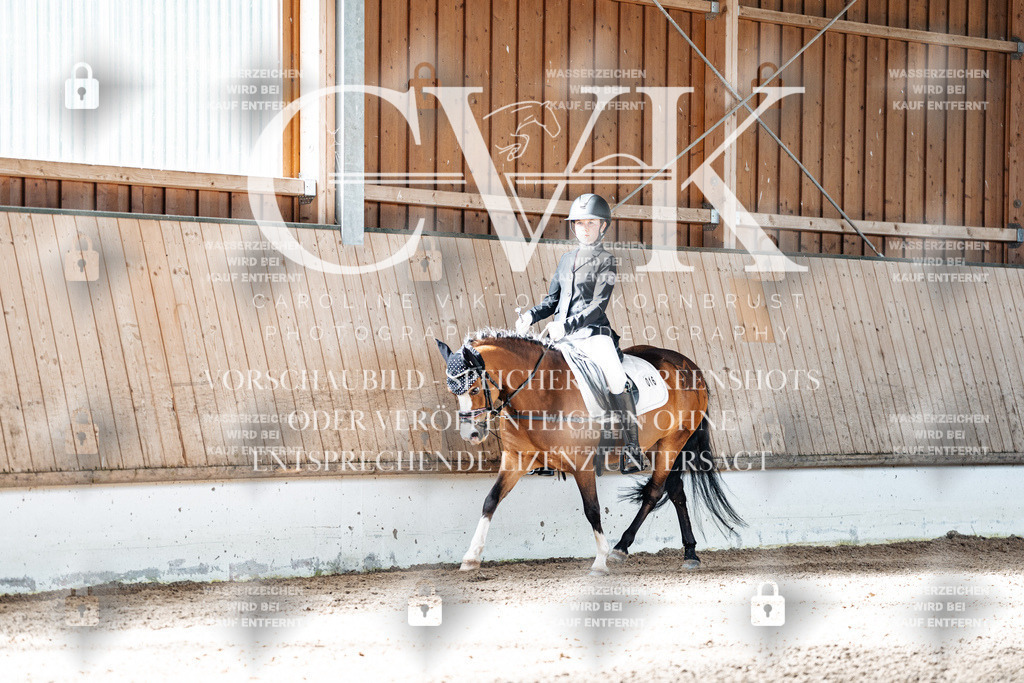 CK908870 | Turnierfotografie Pferdefotografie Trier Rheinland-Pfalz Pferdesport Reitsport Tierfotografie Sportfotografie Pferdevideo Pferdevideografie Equestrianvideography equestrianphotography  - Realized with Pictrs.com