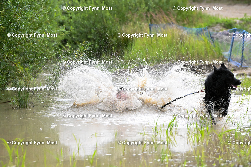 DSC_1014 | Hallo und herzlich Willkommen auf meiner Shop-Seite Fynn Most.

Ich wünsche Dir viel Spaß beim stöbern durch die Bilder, wenn Du Fragen hast oder Bilder vermisst, kannst du mir gerne eine Nachricht schreiben. - Realisiert mit Pictrs.com