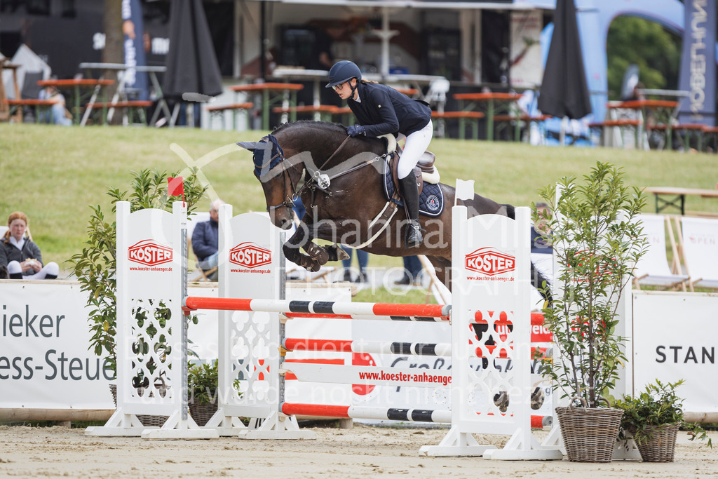 250710_BHO_Stil-L-1-166 | Deine schönsten Turniermomente als professionelle Fotos! Entdecke hochwertige Pferdesport-Fotografie im Online-Shop. Jetzt Fotos finden & bestellen!
