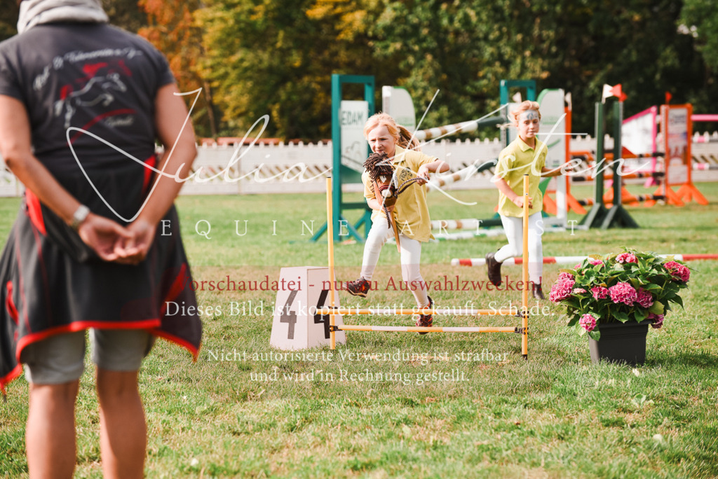 DSC_4681 | Pferde- und Turnierfotografie in Westsachsen. Pferdeportraits, Auftragszeichnungen und intuitive Kunst.