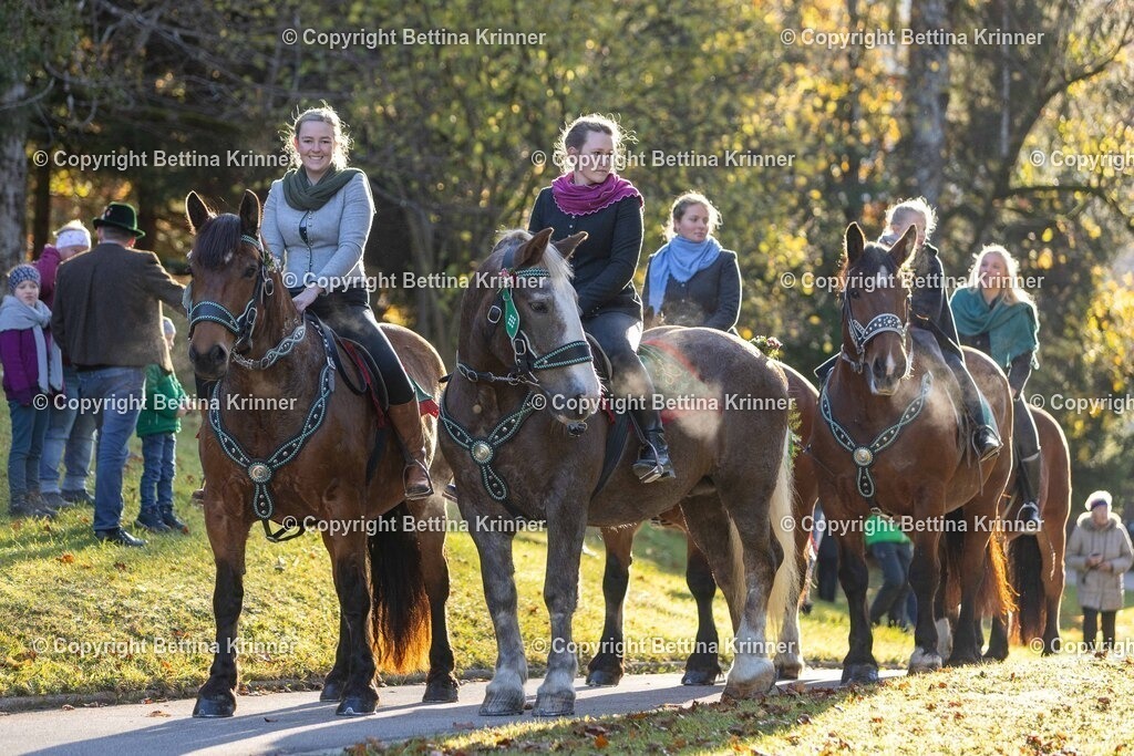 LL24-173 | foto-bettina-krinner - Realisiert mit Pictrs.com