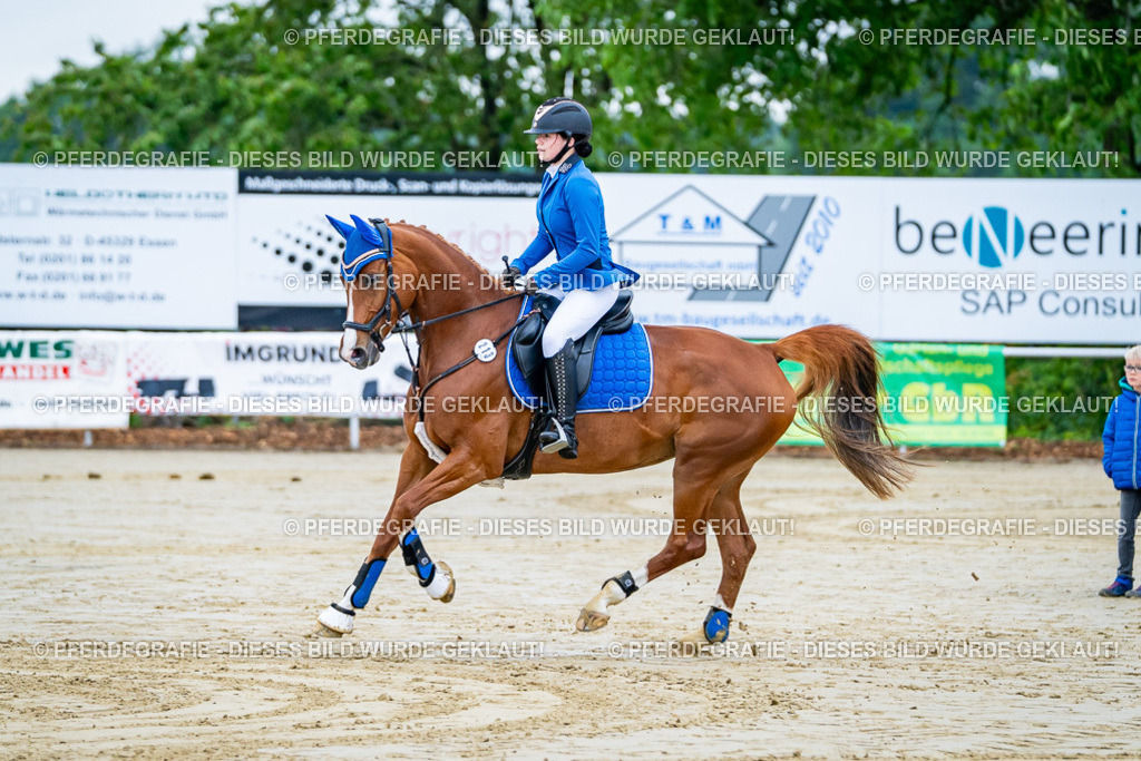 DSC01060 | Pferdegrafie