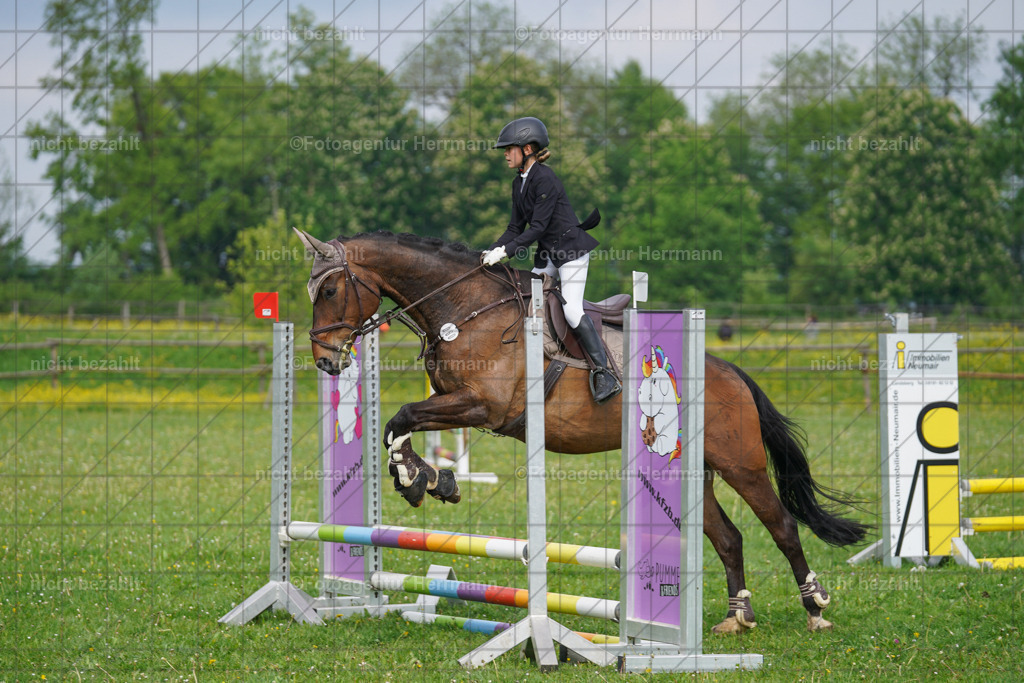 20240509-FAH02152 | Turnierbilder der Turnierfotografen Bayern, Pferdesport Fotografie, Reitsportbilder, Turnier Landberg am Lech, Turnierbilder bayern, Fotoagentur Herrmann