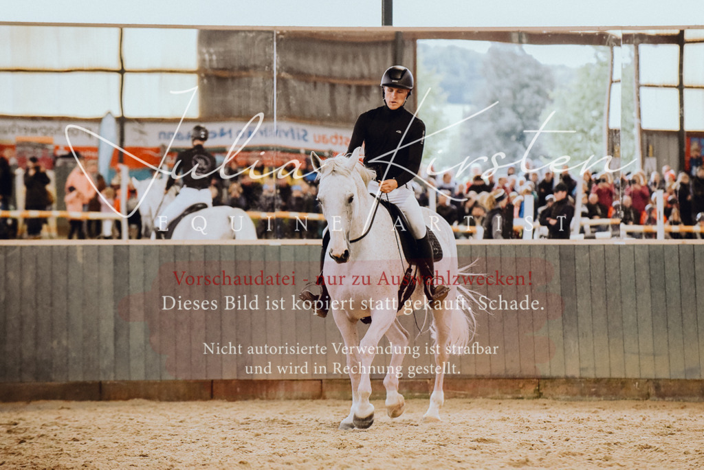 DSC_6970 | Pferde- und Turnierfotografie in Westsachsen. Pferdeportraits, Auftragszeichnungen und intuitive Kunst.