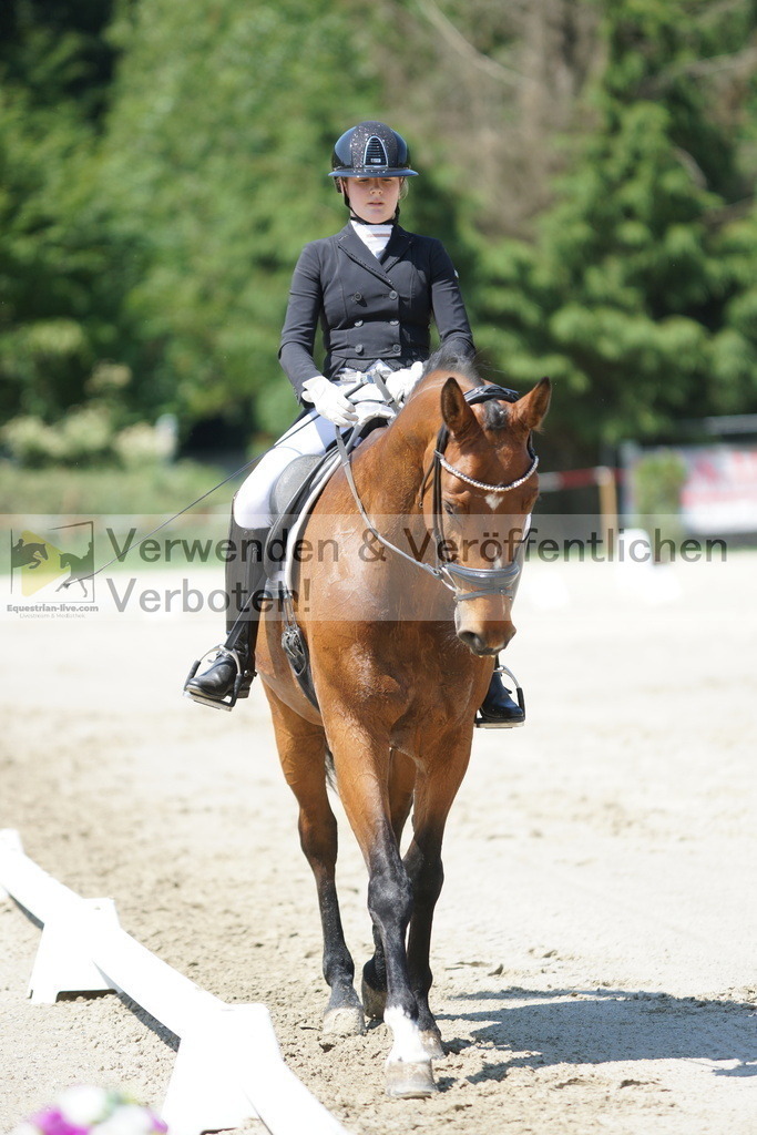 DSC03151 | equestrian-live-com