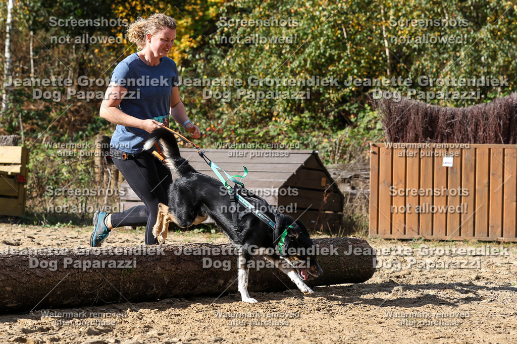 Dog Paparazzi - Strongdog 10-25-4913 | Dog Paparazzi Jeanette Grottendiek Fotografie & Videografie - Realisiert mit Pictrs.com