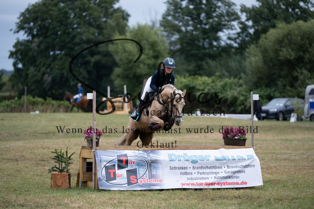 A7V00331 | Pferdefotograf