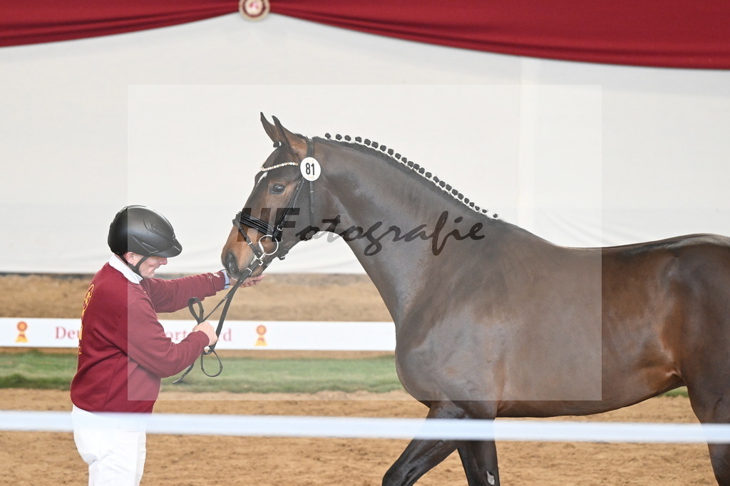 Kat.-Nr. 81 v. Va Bene_Greim_3261132 | hf-fotografie - Realizzato con Pictrs.com