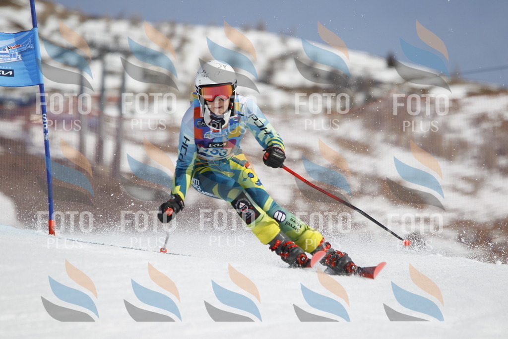 _U3G1274 | holidayphoto