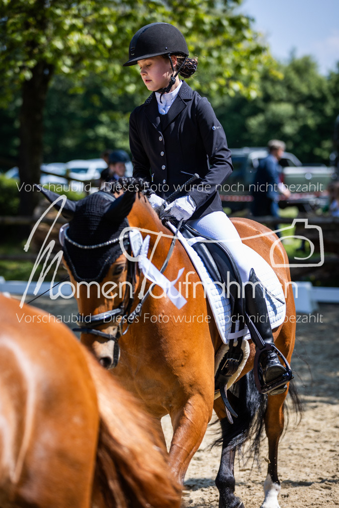 Donop24-RWB-032 | MomenTaufnahmen Pferdesportfotos