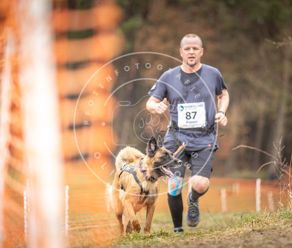 DV3A0363 | Hundefotografie, Tierfotograf, Pfotenfotografie, Fotoshooting Hund, Hunde Portrait, Hundesport, Hundeportraits, Heideshooting, Hunde, Sportfotograf, Hundefotograf, Turnierhundsport, THS,  - Realisiert mit Pictrs.com