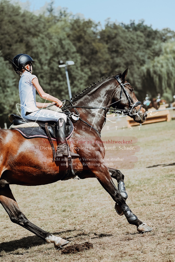 DSC_9835 | Pferde- und Turnierfotografie in Westsachsen. Pferdeportraits, Auftragszeichnungen und intuitive Kunst.