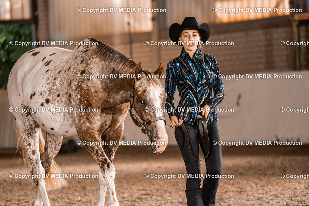 ZH100062 | dv-media-shop - Realisiert mit Pictrs.com