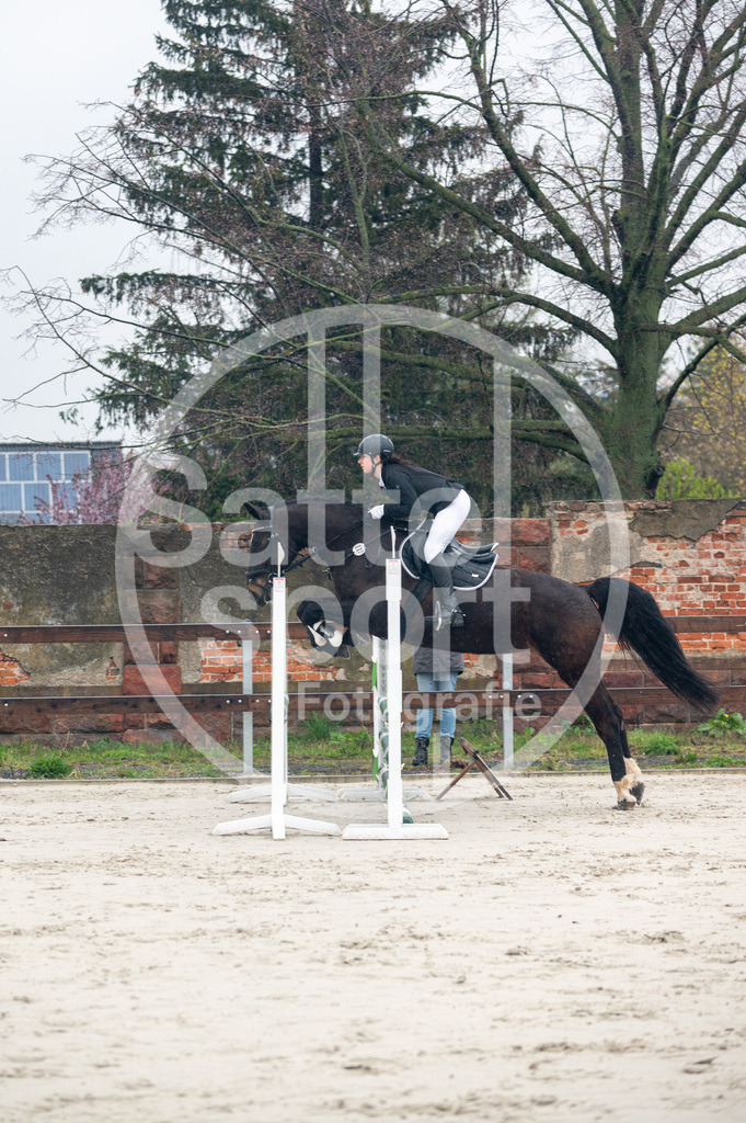 DSC_8428 | sattelsport - Realisiert mit Pictrs.com