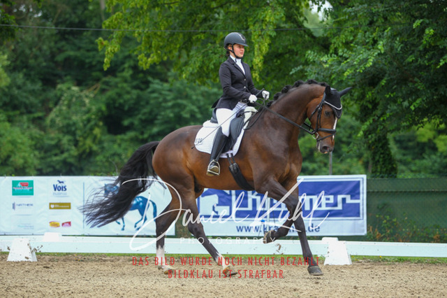 DKP40321 | Turniersportfotografie; Pferdefotografie; Dressurfotografie