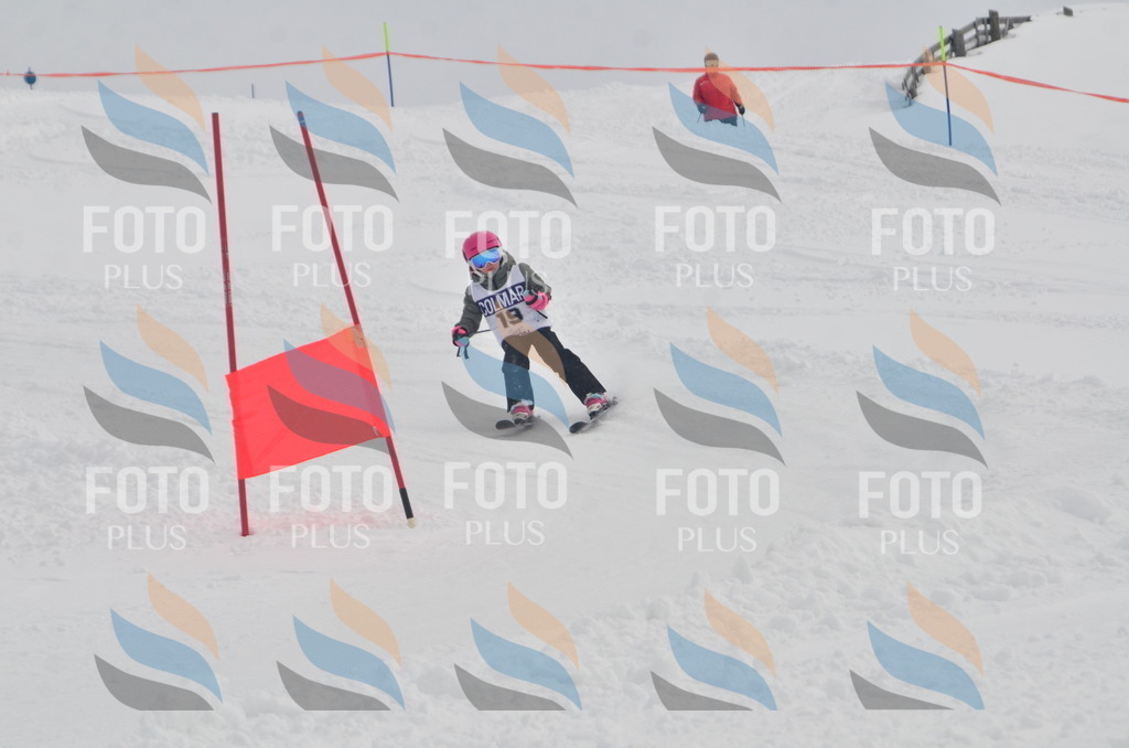 A5141 | holidayphoto