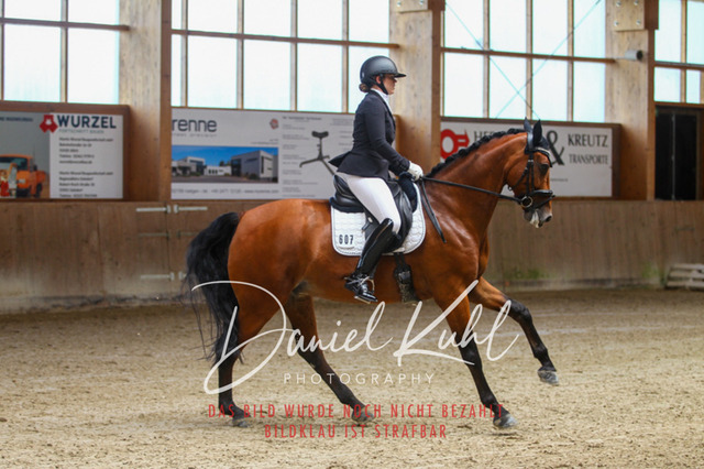 DKP43614 | Turniersportfotografie; Pferdefotografie; Dressurfotografie