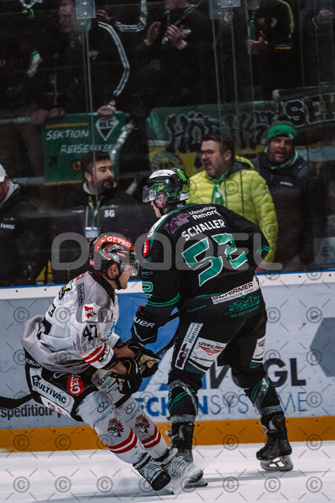 Alligators_vs_Memmingen_09_01_2026-58 | Höchstadt Alligators Fotogalerie: Eishockey-Action aus Franken. Professionelle Spielfotos, Portraits & Stadionbilder zum Download. Jetzt entdecken! - Realisiert mit Pictrs.com