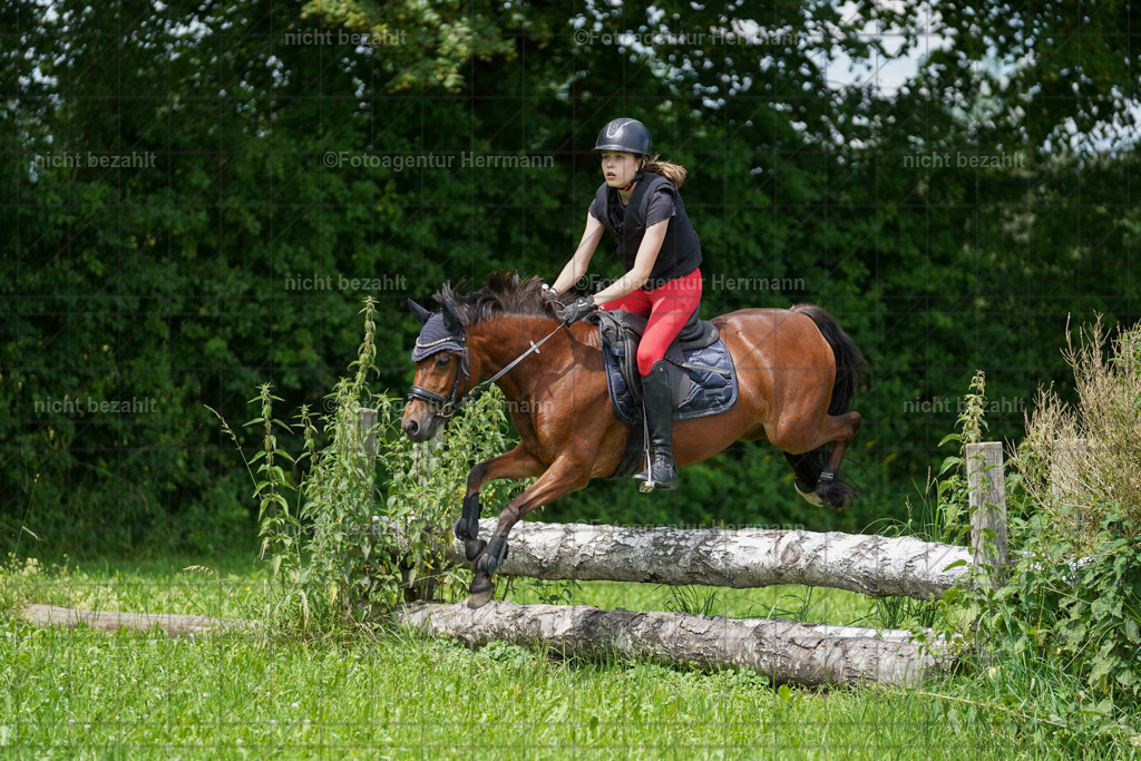 20240622-FAH07496 | Turnierfotografen Bayern, Reitsportbilder aus dem Geländekurs mit Felix Etzel auf dem Gut Waitzacker 2024