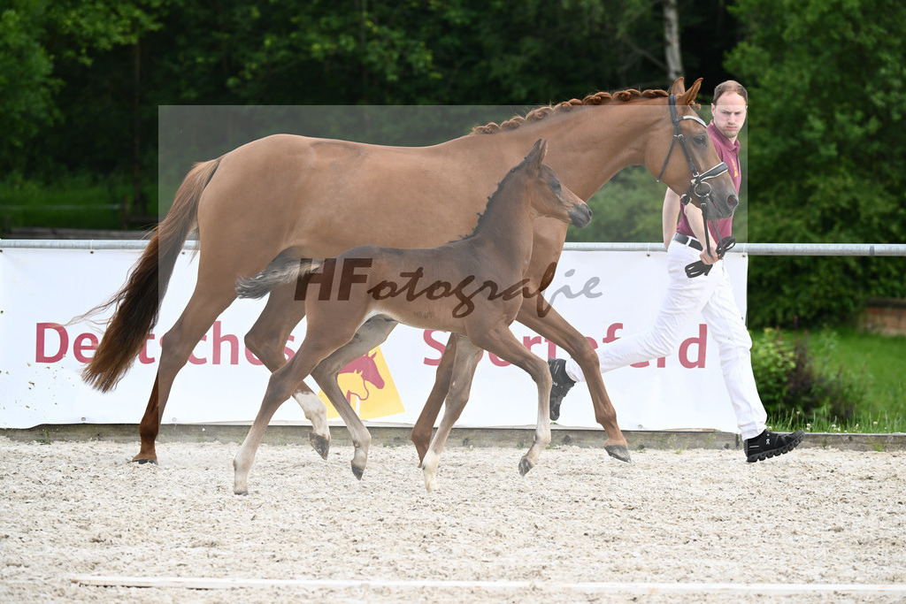 Tie Break x Vivino_HF_Niethammer_20241192 | hf-fotografie - Realisiert mit Pictrs.com
