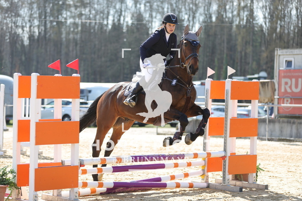 0P6A6862 | Willkommen bei Brunnmayr - Design & Fotografie – Ihrem Spezialisten für Reitturniere und Pferdeveranstaltungen in Oberösterreich, Salzburg und Bayern! Seit über 17 Jahren sind wir leidenschaftlich dabei.